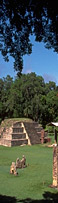 hotels in Honduras hotels in Honduras
